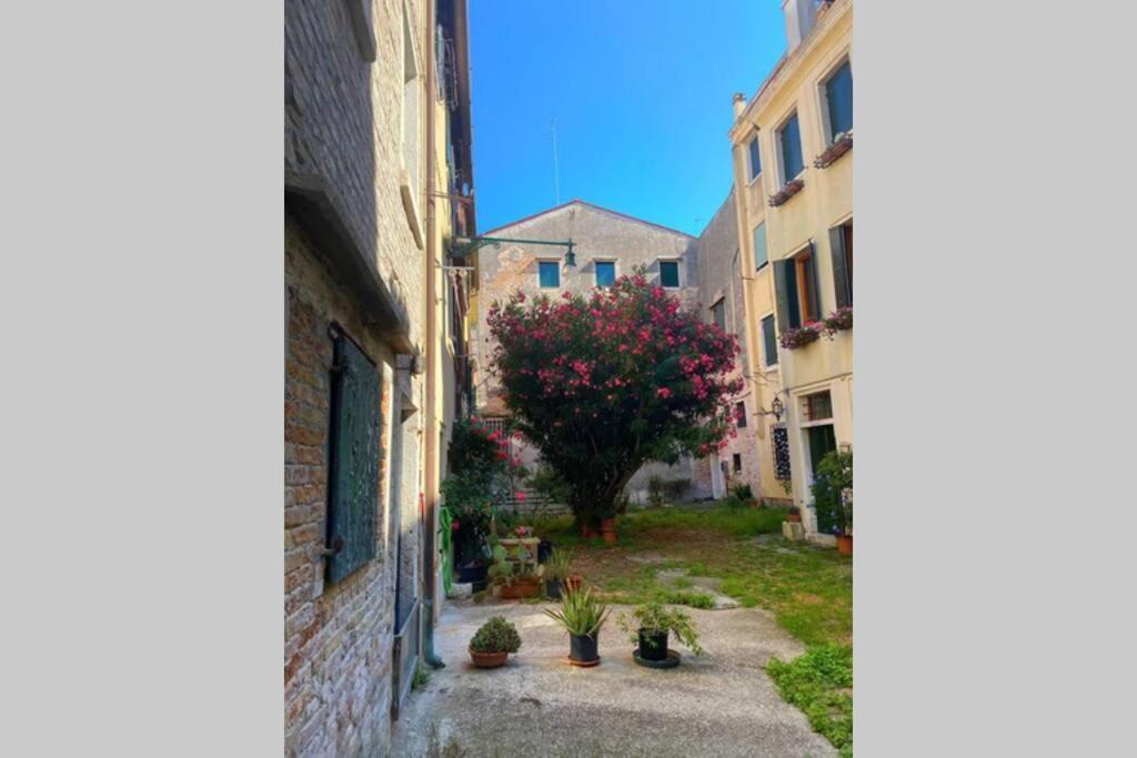 The Glamour Of San Marco Apartment *