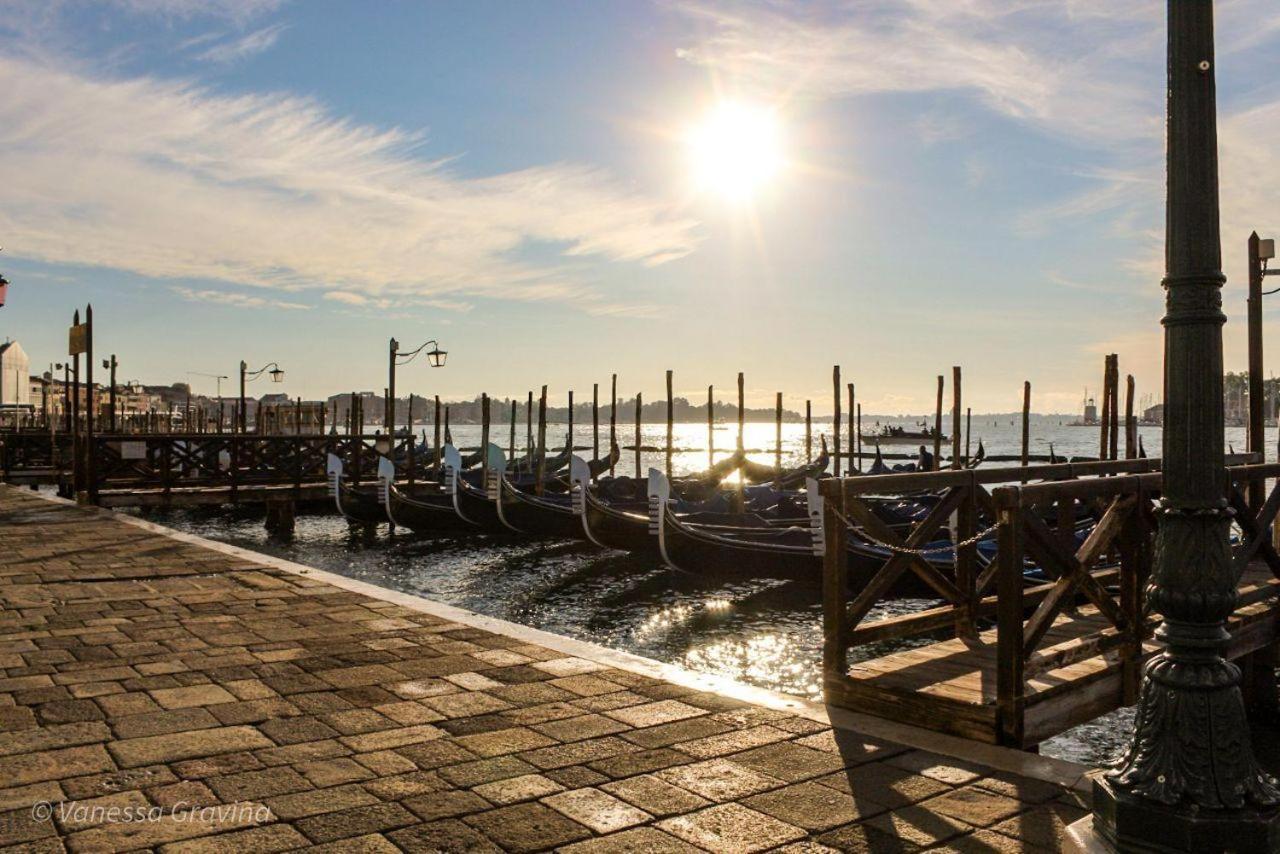 Damiana Venice