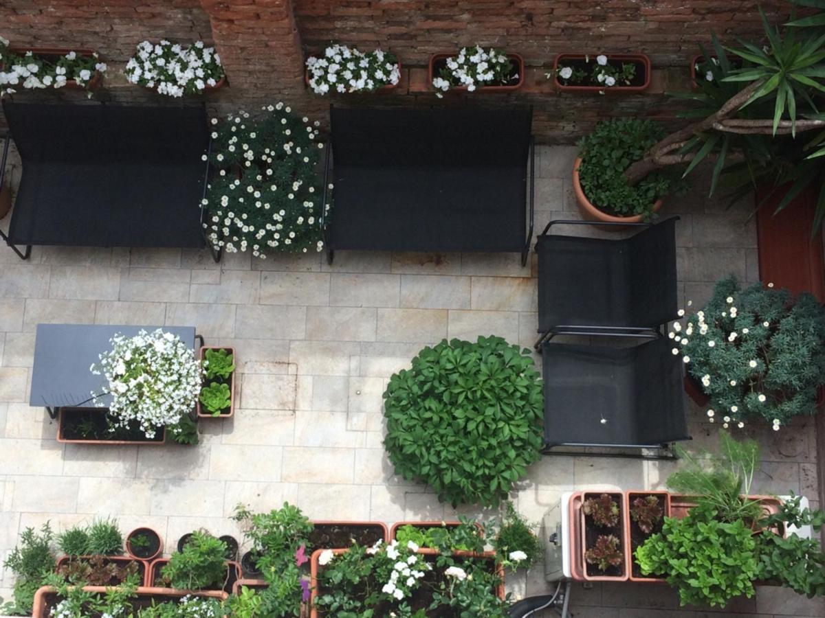 Maison Marea Apartamento *