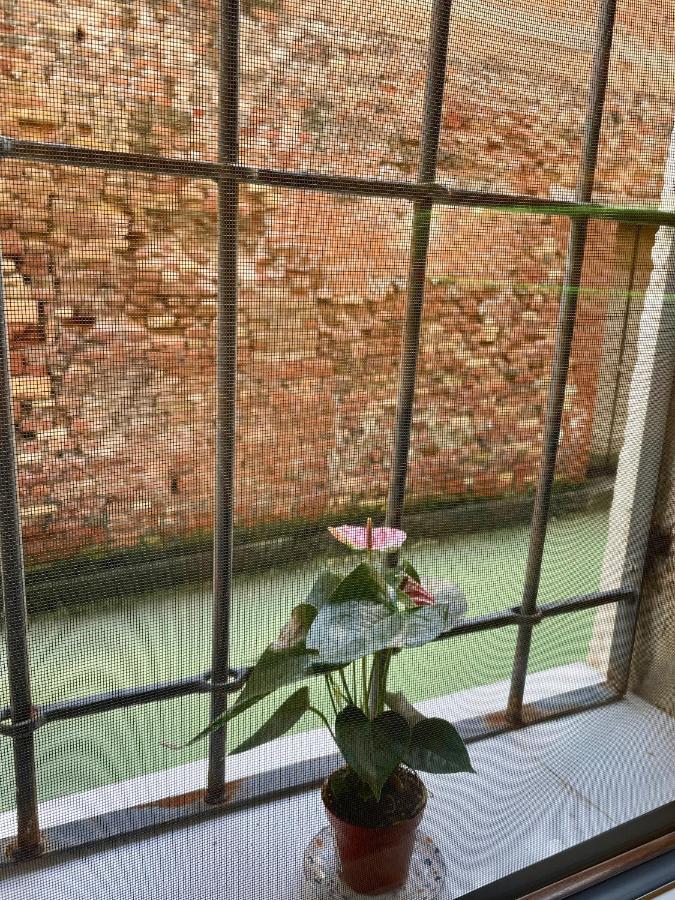 Hayez Guest house