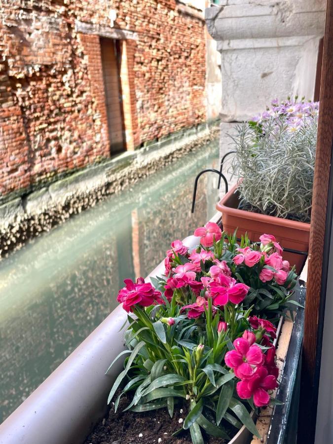 Hayez Guest house