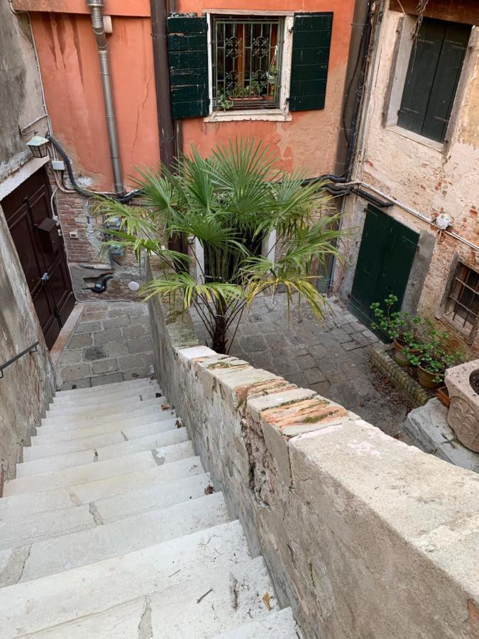 Familly Venice
