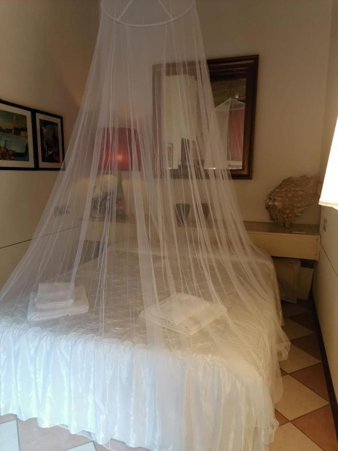 In A Lovely Garden Biennale Flat *
