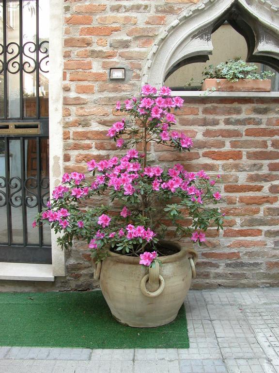Apartment Al Campanile Madonna Dell'orto *