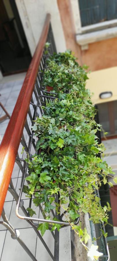 Ca' Baby Appartamento