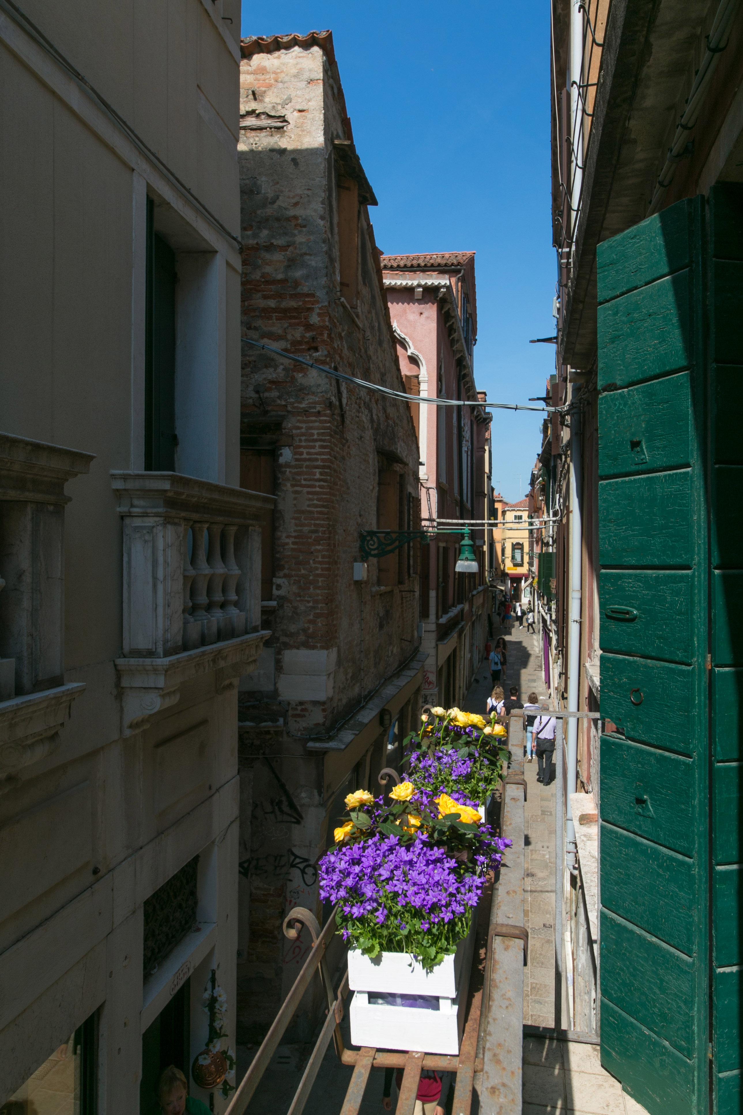 Pantalon Hotel Veneza