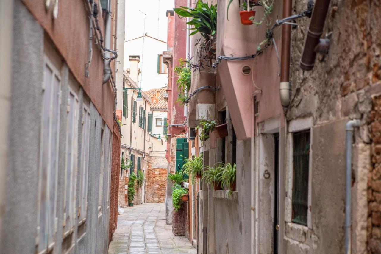 Ca' Gritti By Venicevillas Apartment