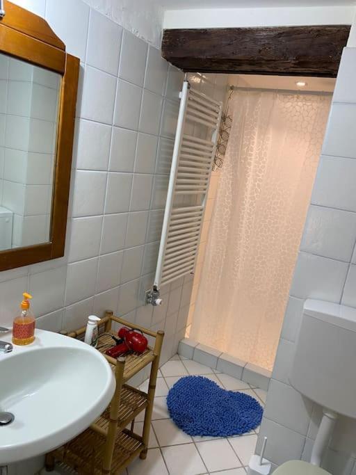 Calle Dei Furlani - Con Cortile Apartment Venice