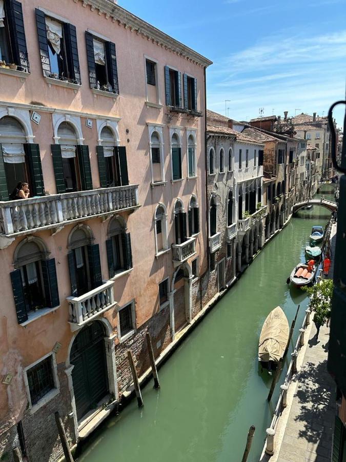 Rosa Venice