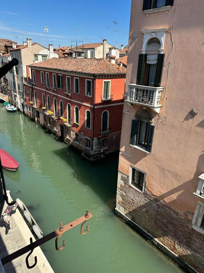 Rosa Venice