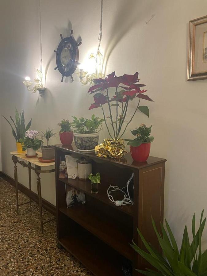 Rosa Guest house *