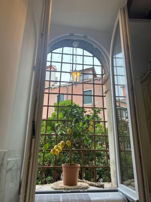 Mariangela Venetian Veneza