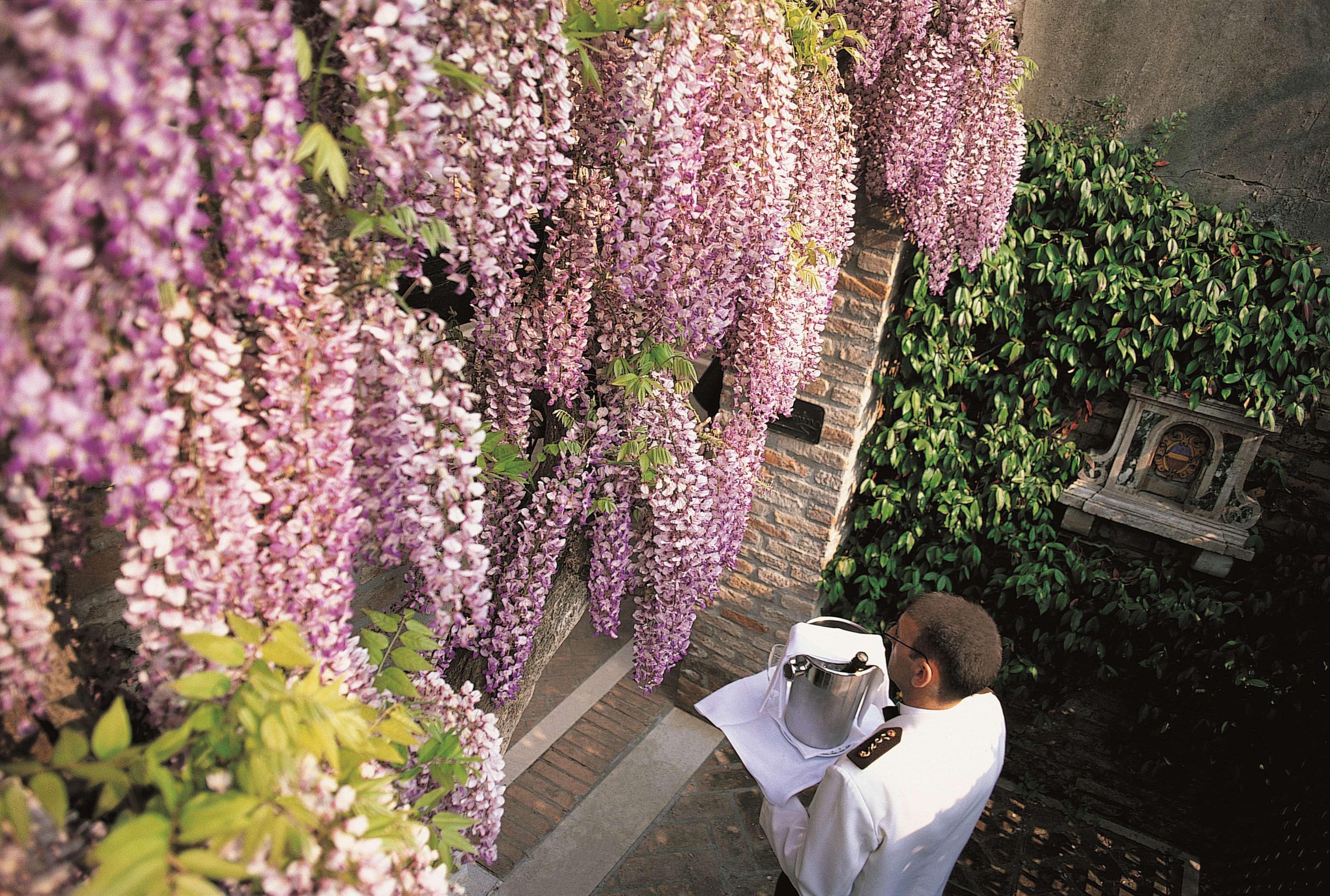 Cipriani, A Belmond Hotel, Hotel 5*