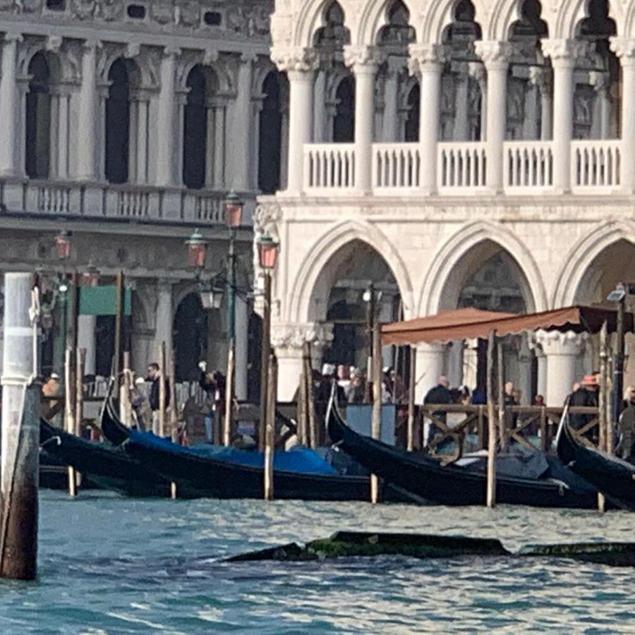 The Wolf House Venice