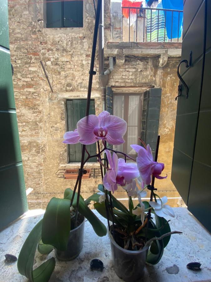 Emma's House Venice