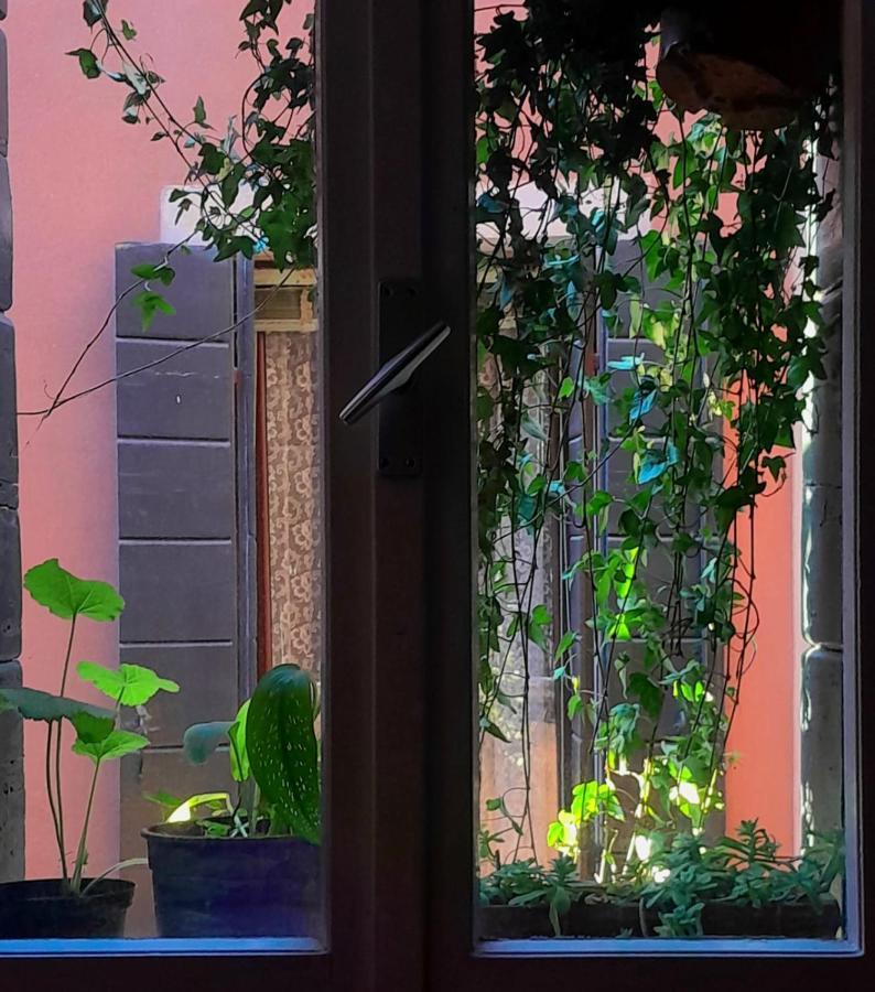 Discovery Albergue