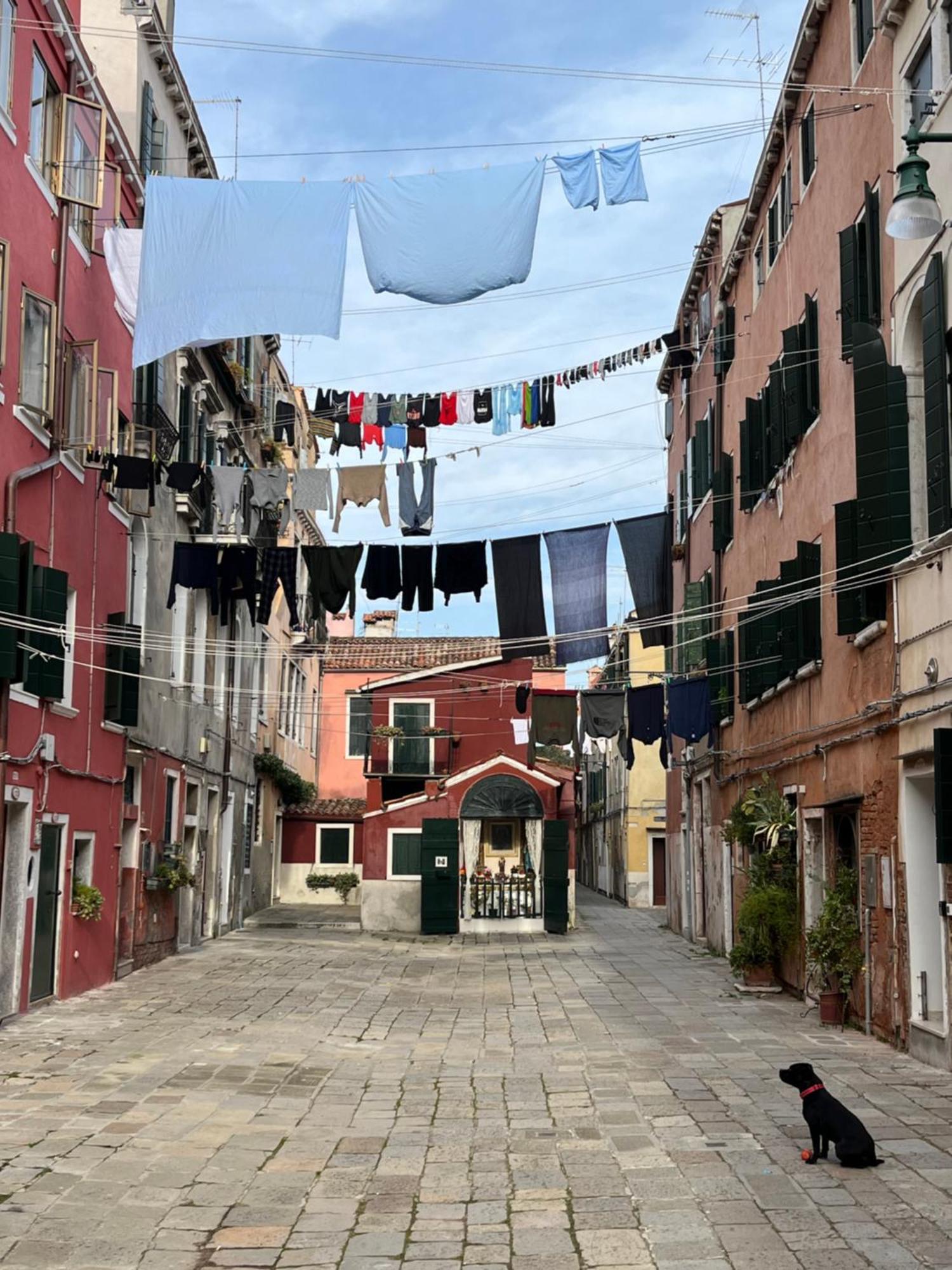 Ca'mara Biennale Apartamento *