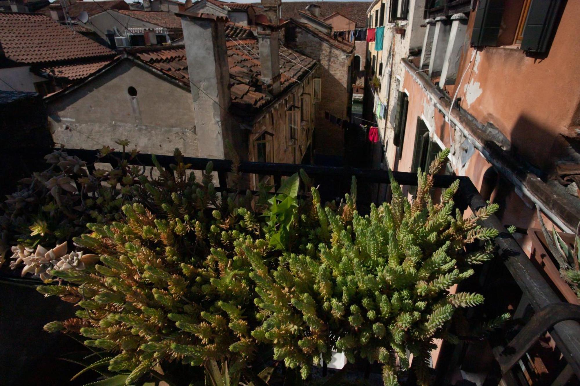 Casa Loredana * Venice