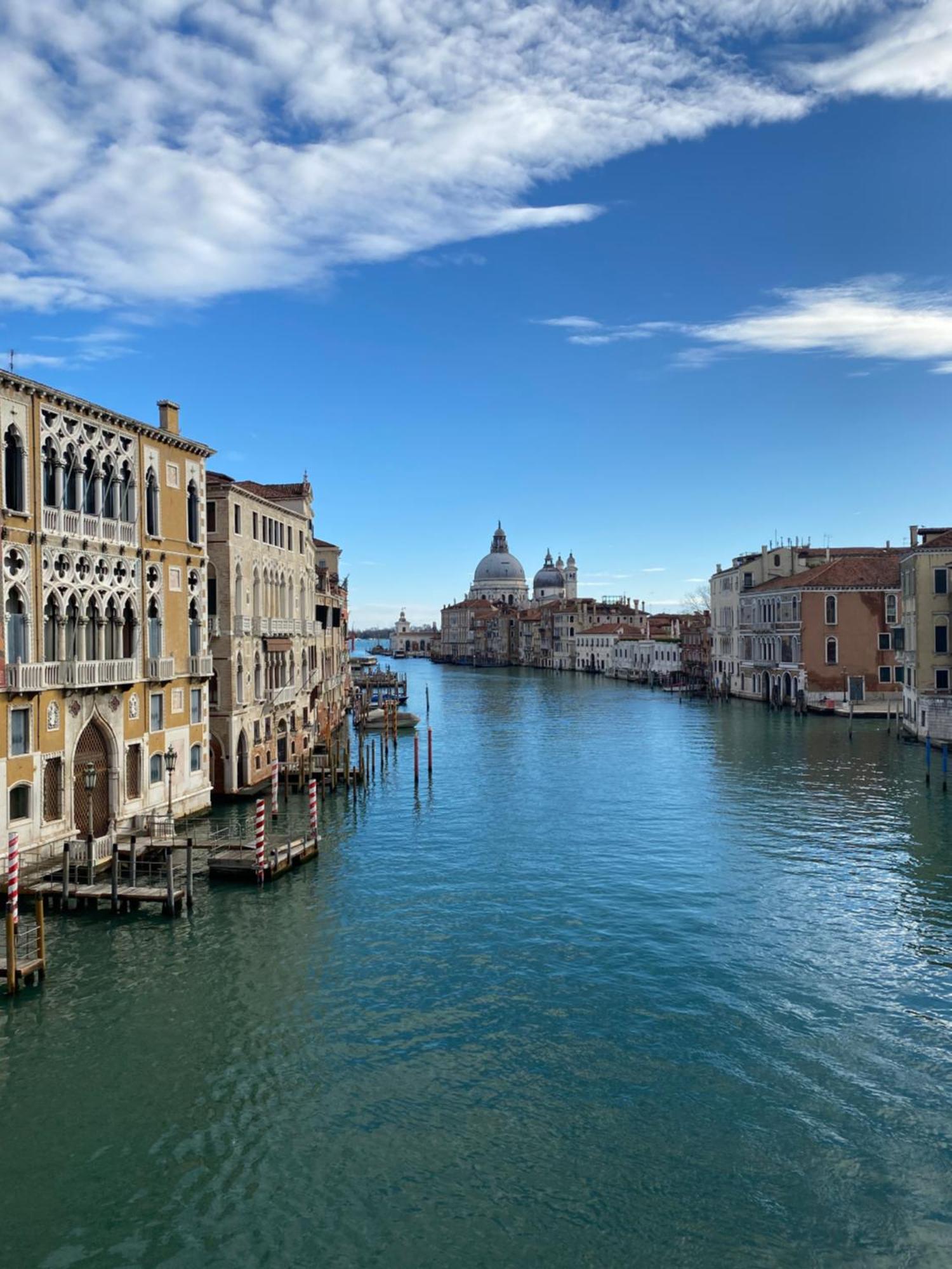 Wow Garden In The Heart Of Venice