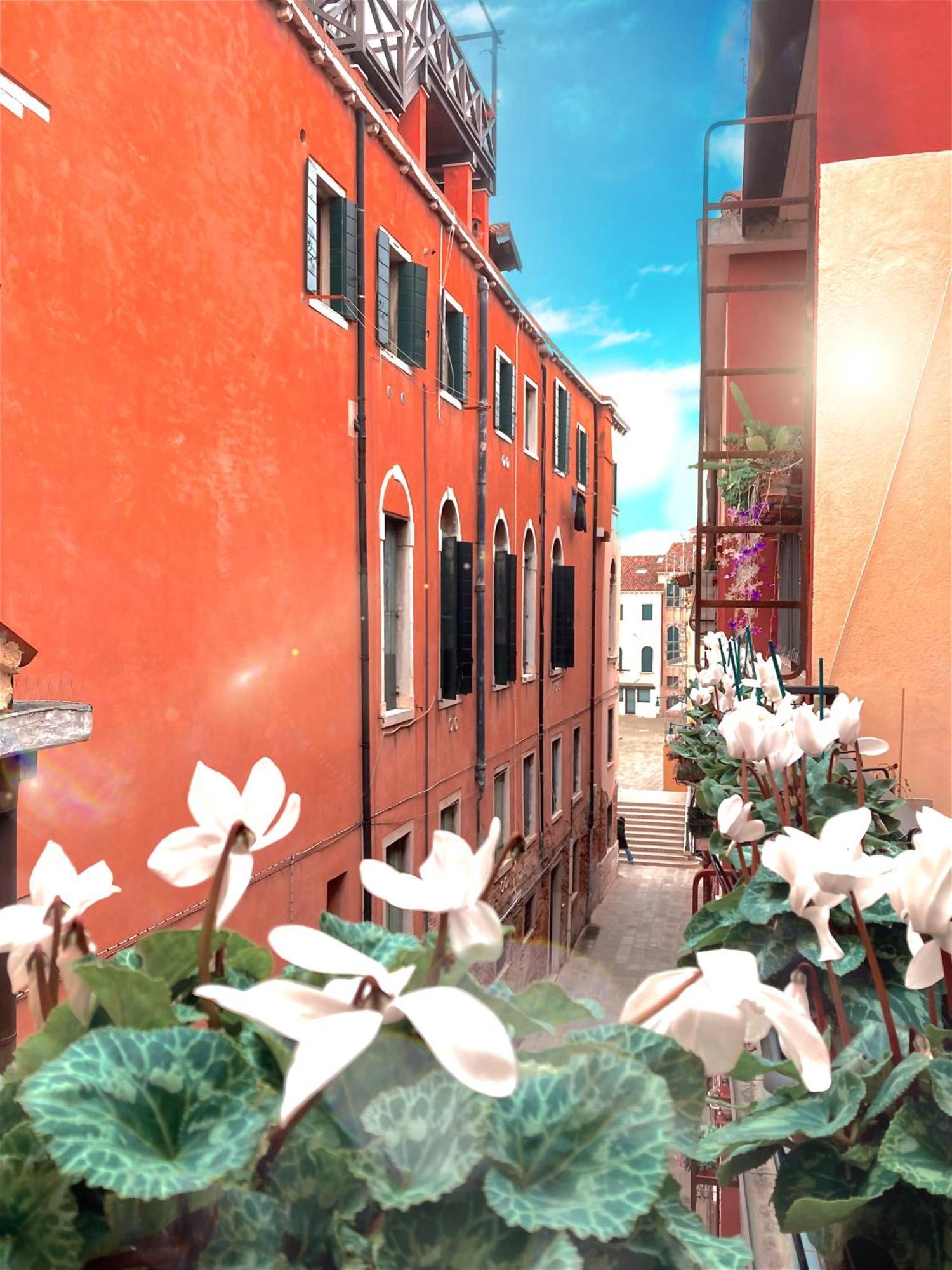 Hinc Domus - Historical Center *
