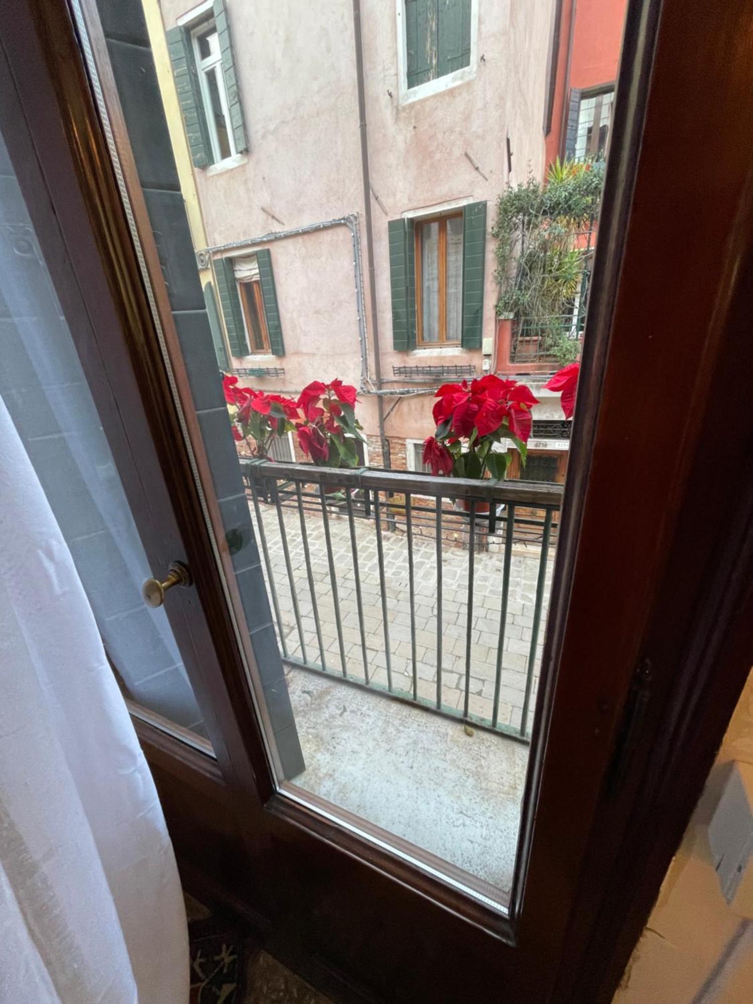 Guest house Lions