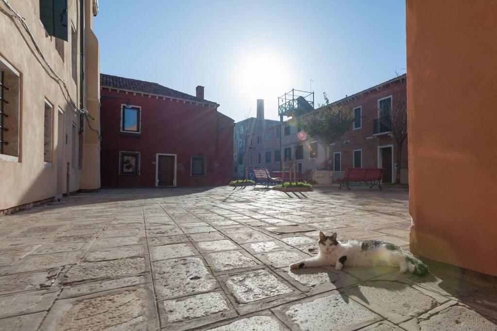 Ca' Ferrando, Brand New Apartment, Experienced Host! Venice