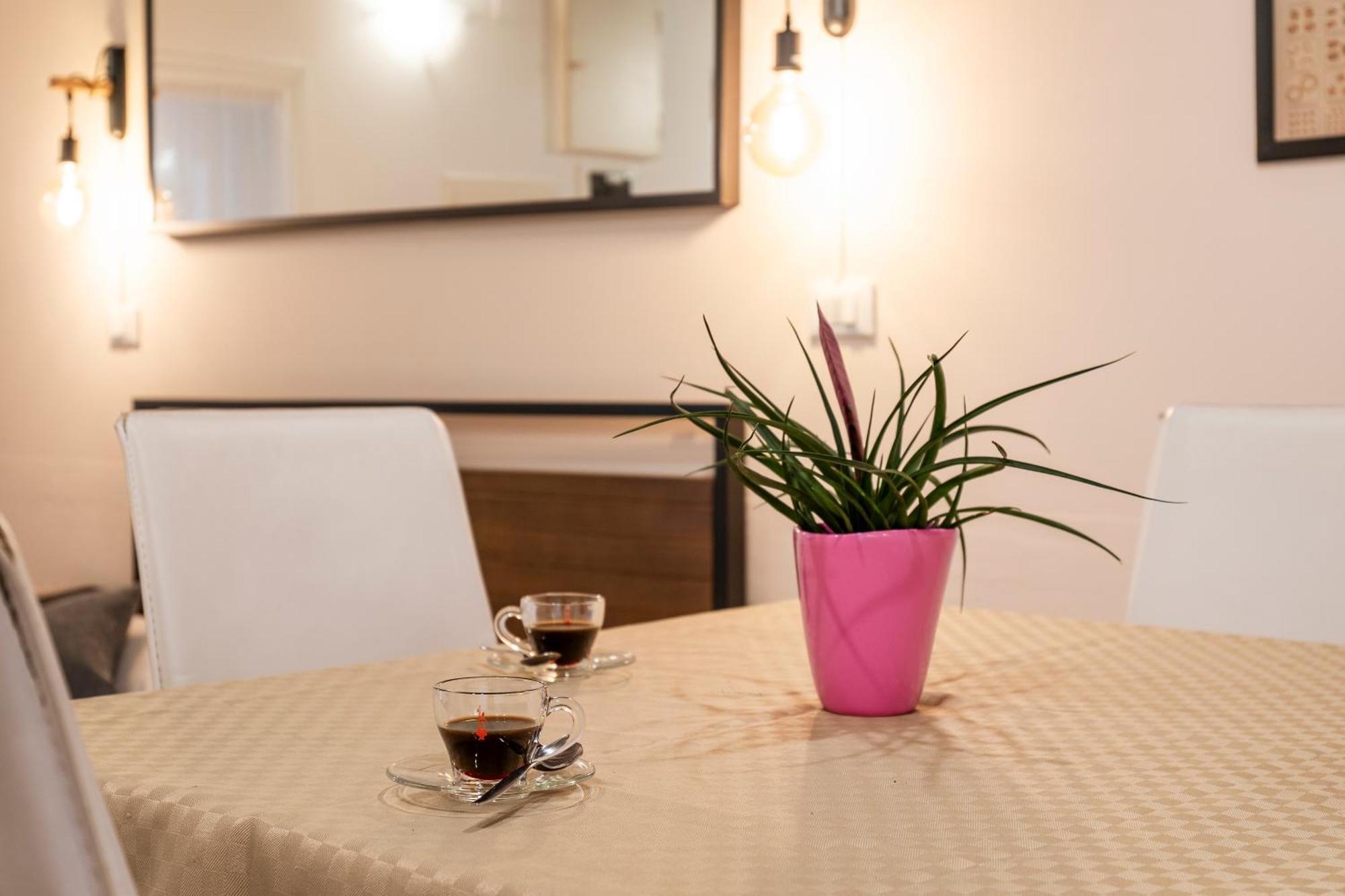 Fenix Colombina In Biennale - Your Little House