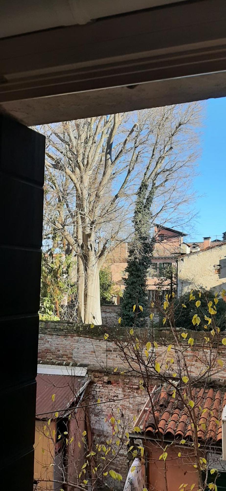 La Moretta Apartment *