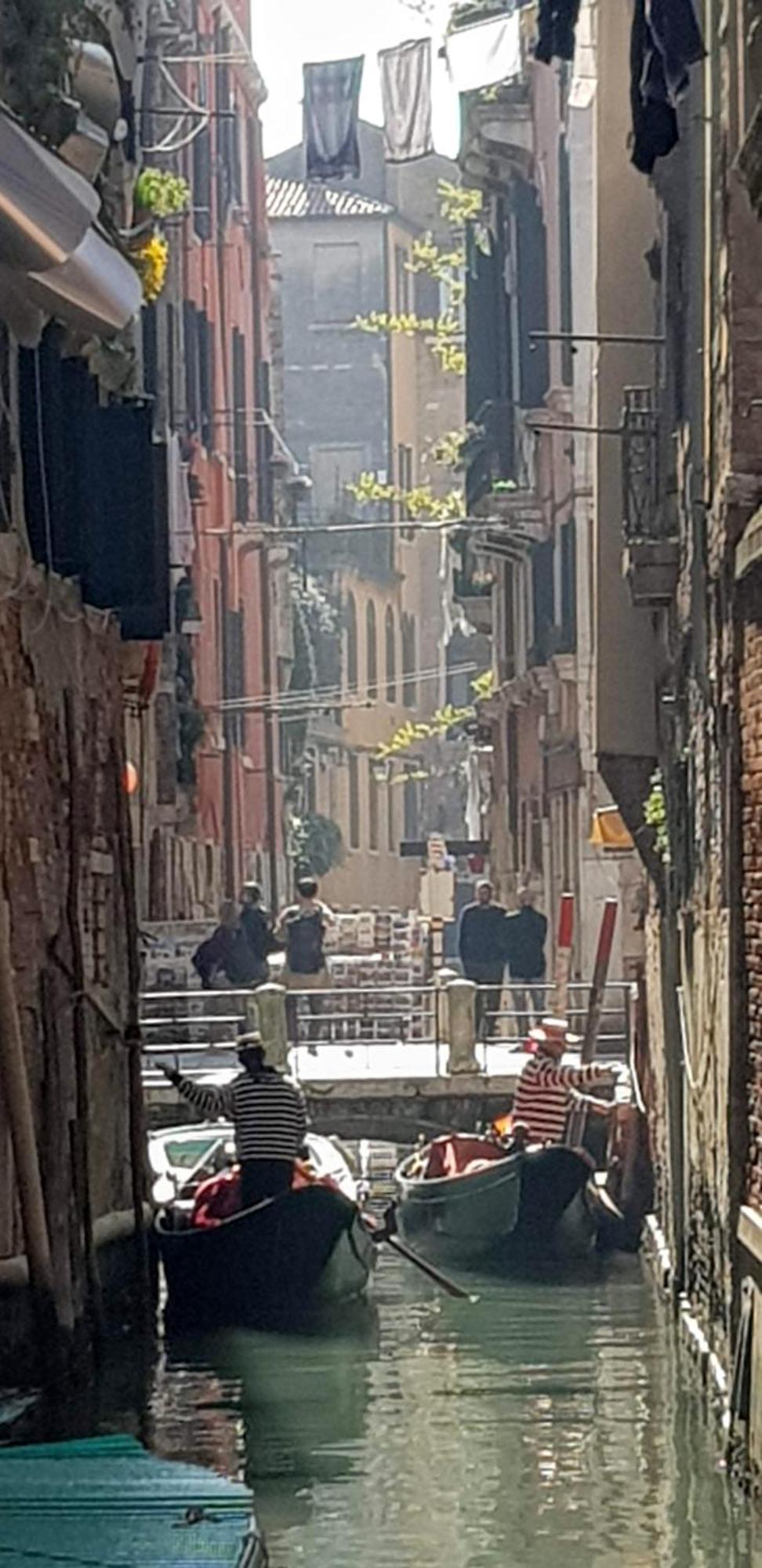 Morosinibrandolinvenice *