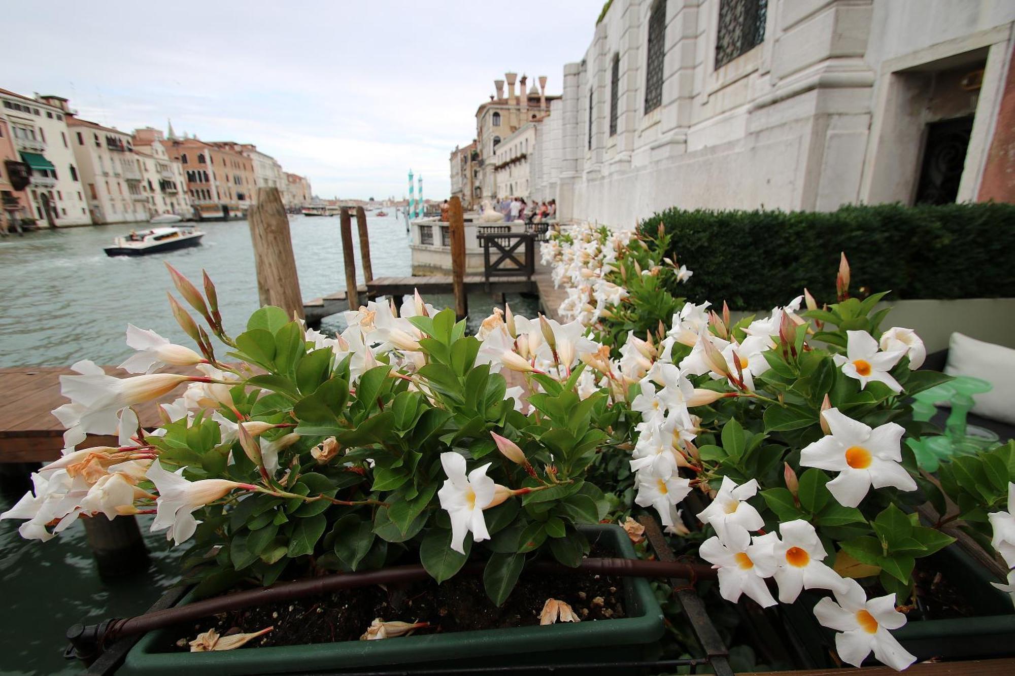 Apartment Grandelux-canal - Bbc Grand Tour 2024 Recorded Here! *