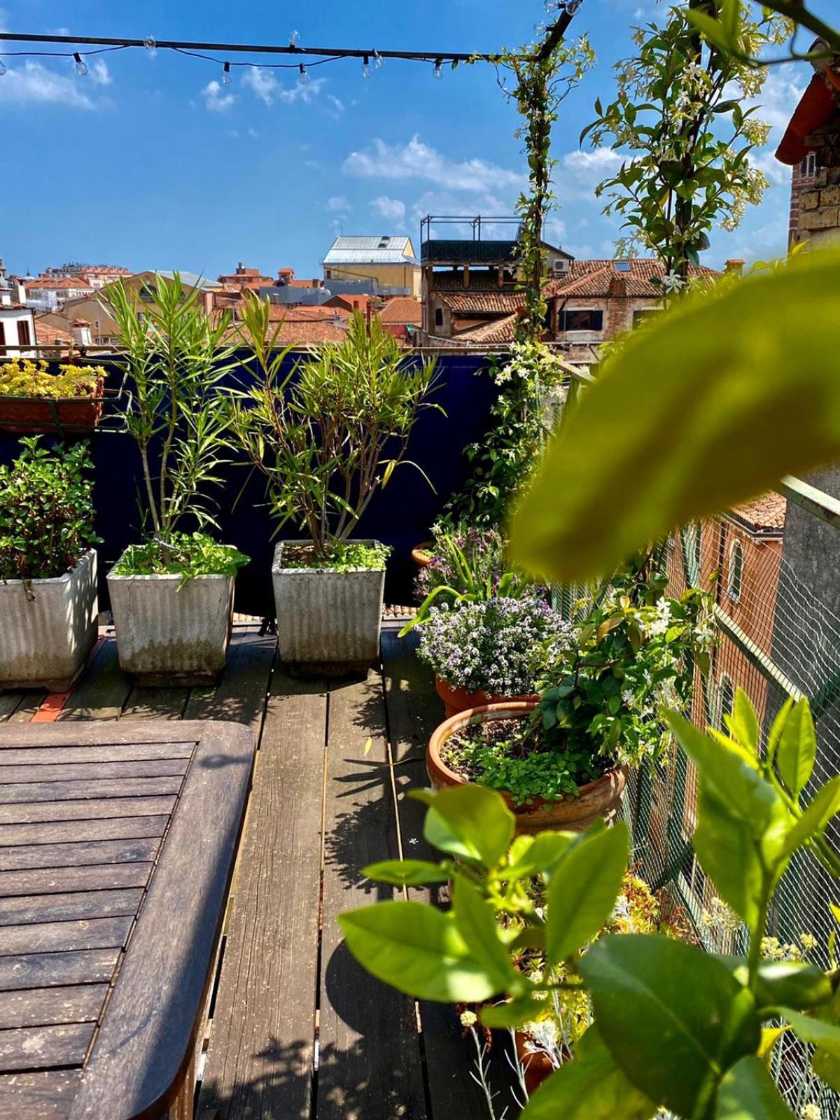 Angel Terrace Venice