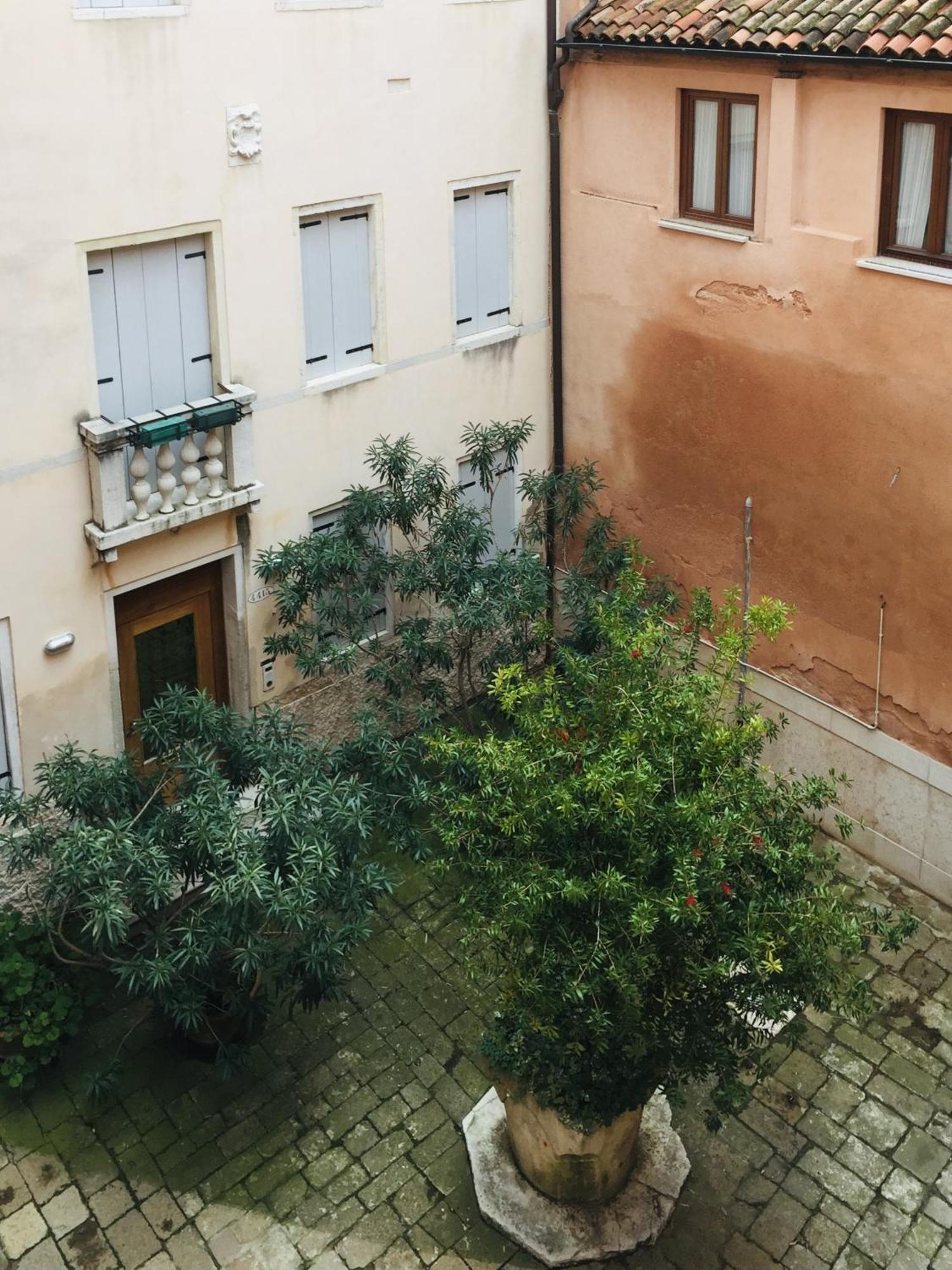 Remedio At Locappart Venice