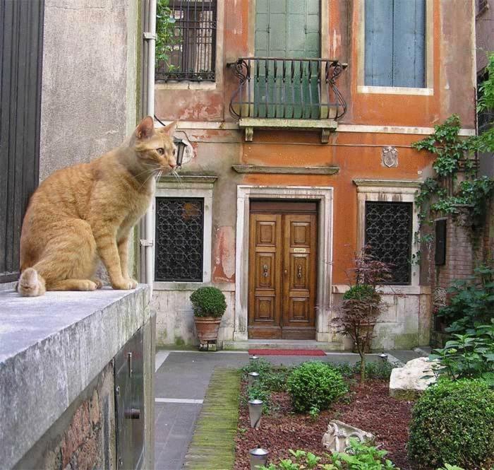 Ca' Angeli Venice