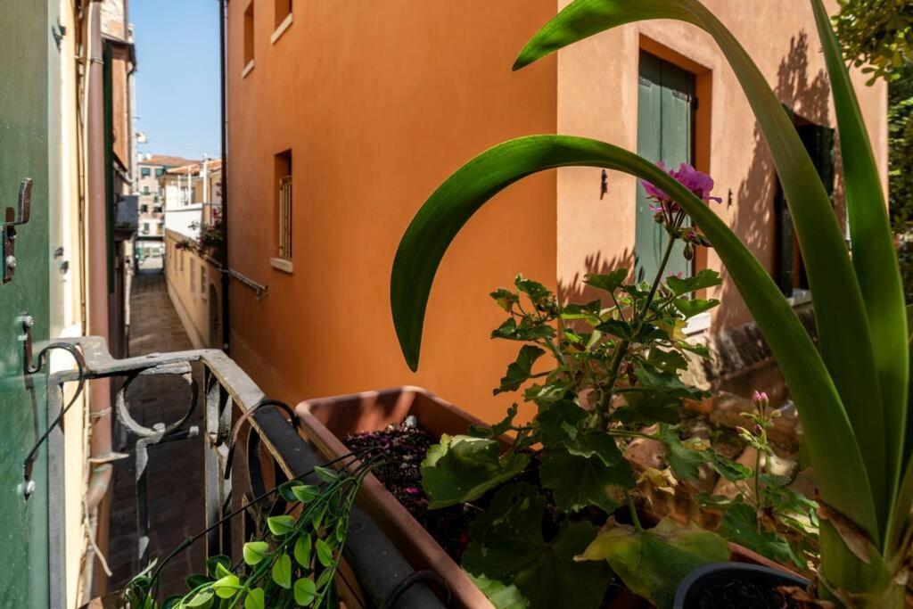 Appartamento Ca' Mandorla 027042loc09523 Venezia