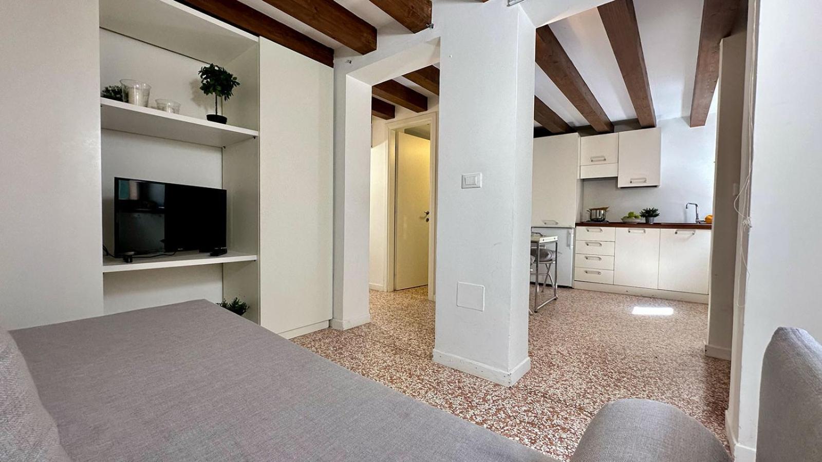 Apartment Salute-accademia