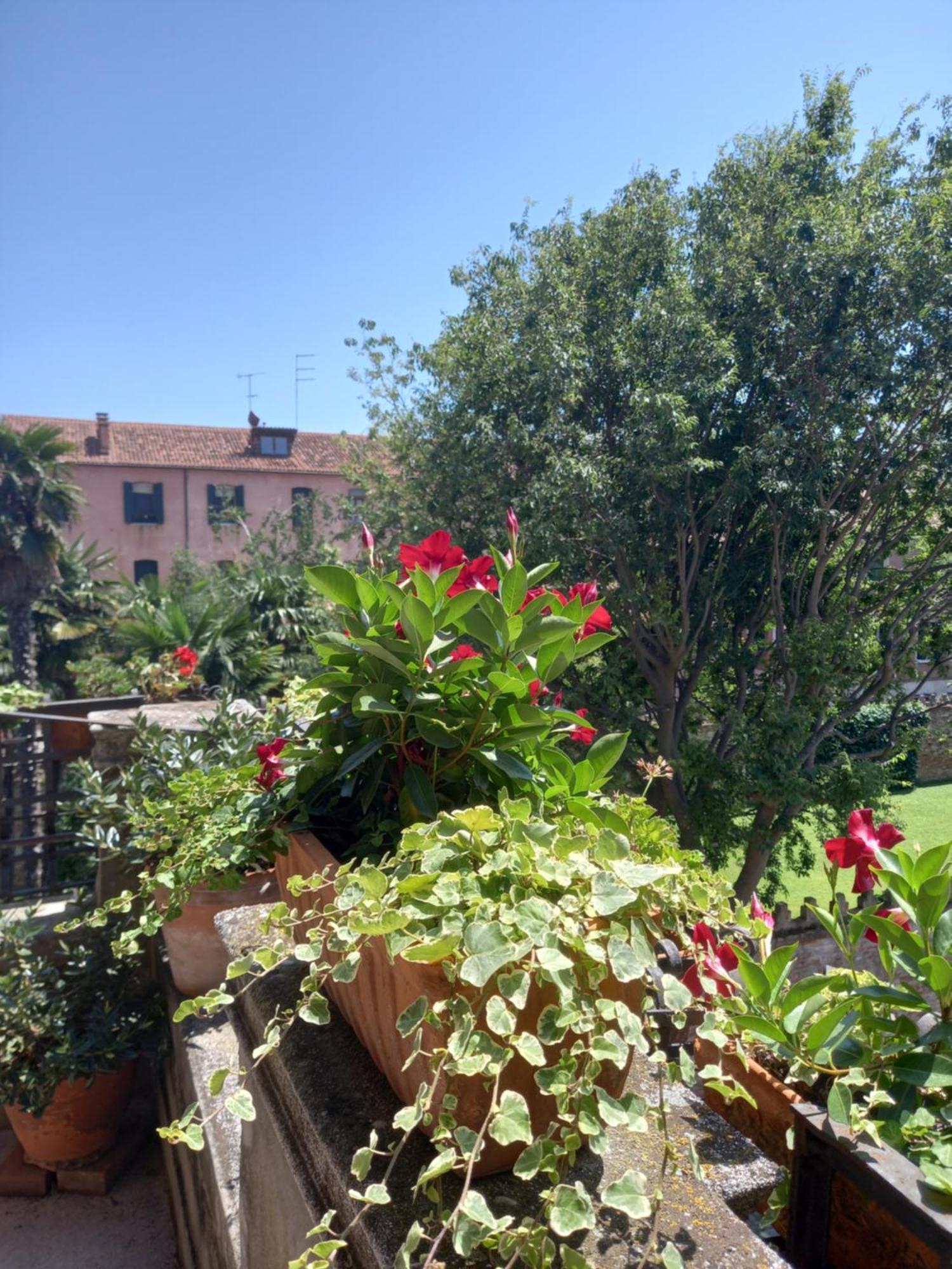 Giudecca Palanca 664 Apartment Venice