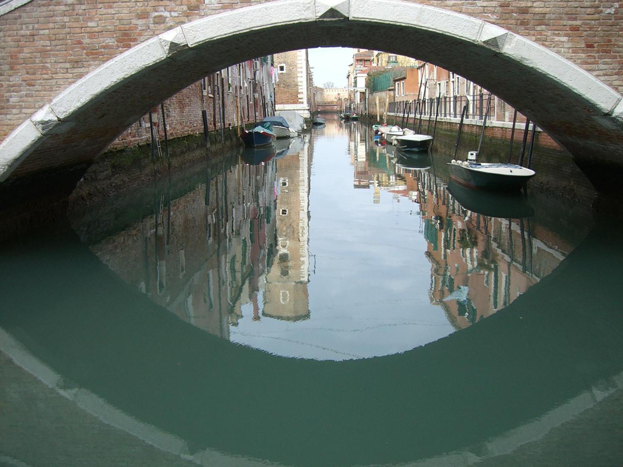 Veneziacentopercento Nicoli *