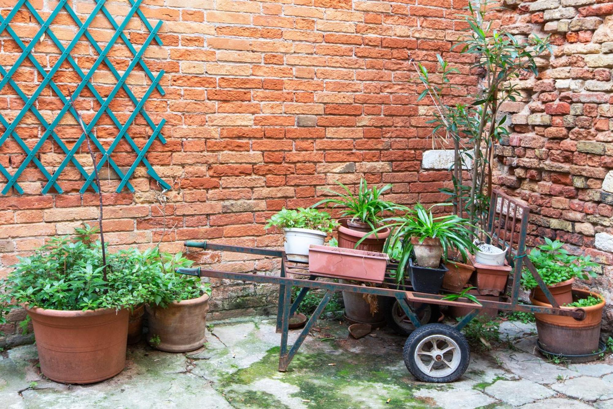 Apartamento Gorgeous San Polo *