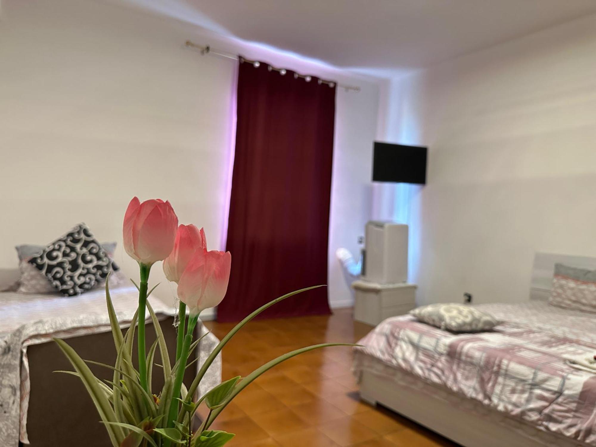 Apartment Good Morning Venice
