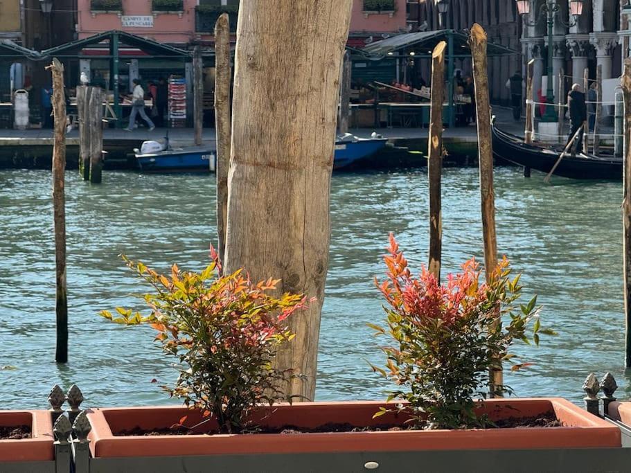 Grand Canal Diamond Apartment Venice