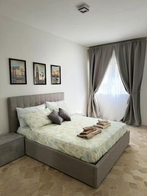 Apartment Grey *