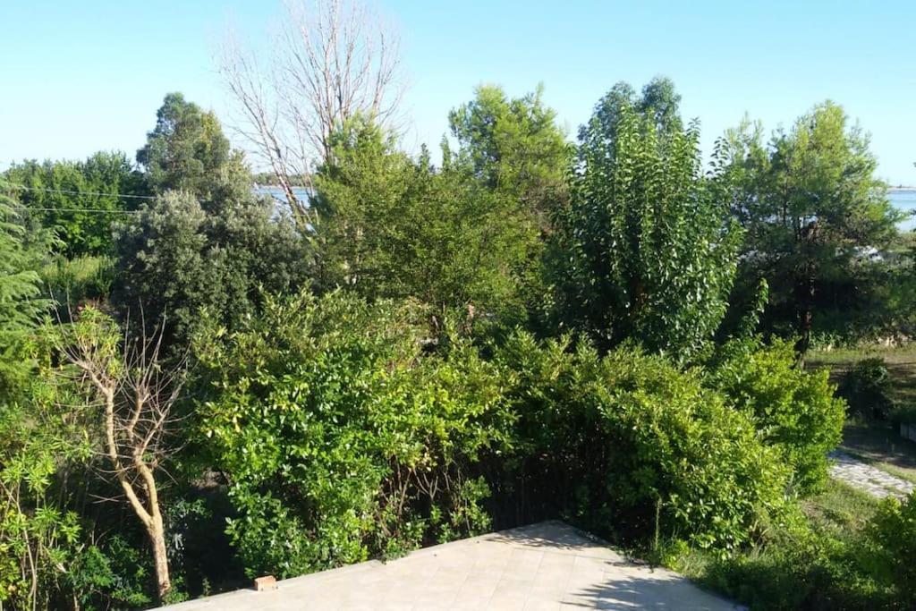 A Sant Erasmo * Venice