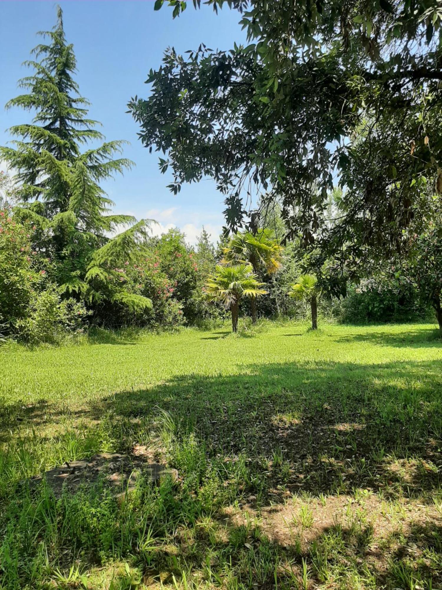 Apartment A Sant Erasmo Venice