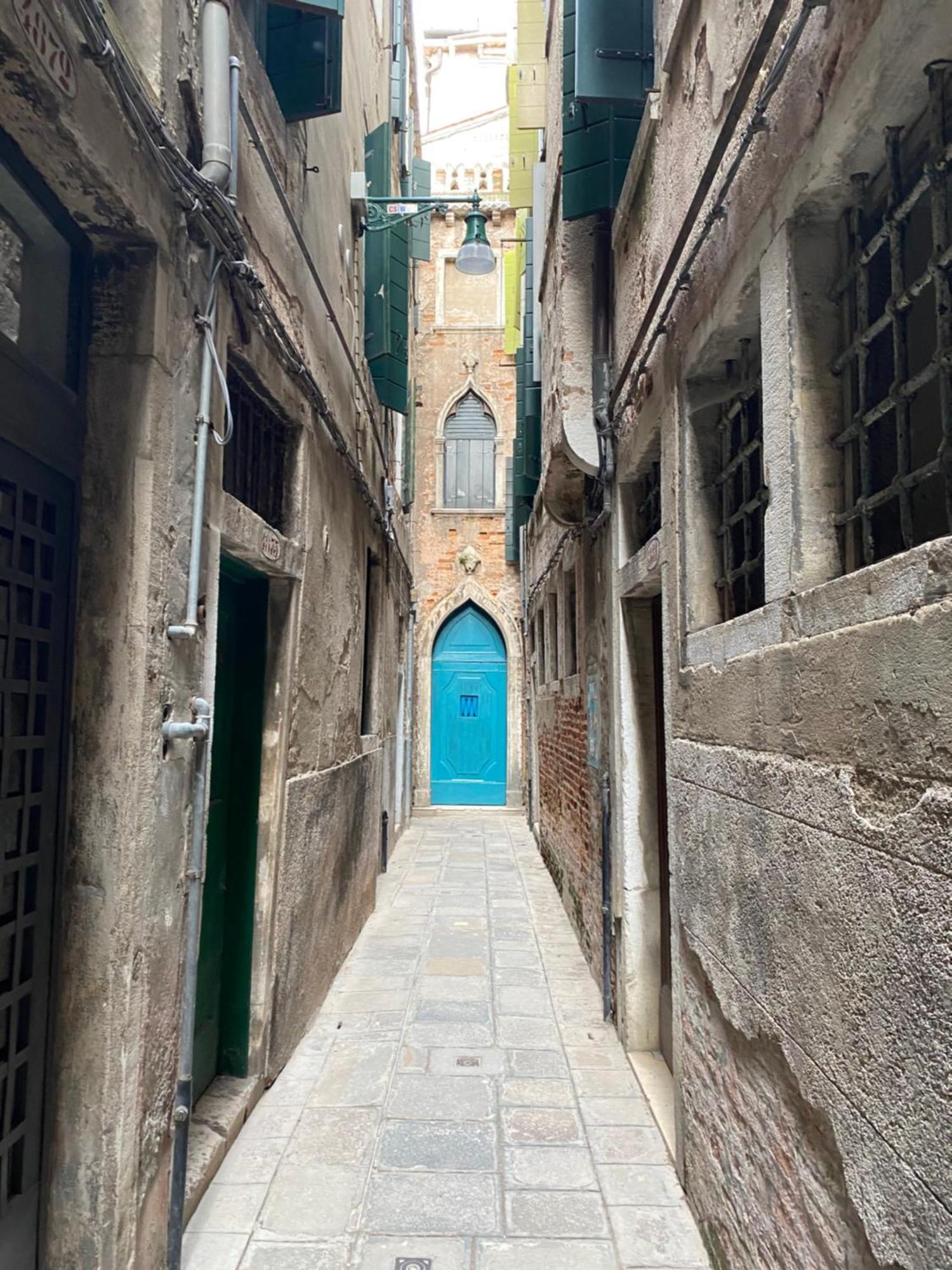 Ali Venice