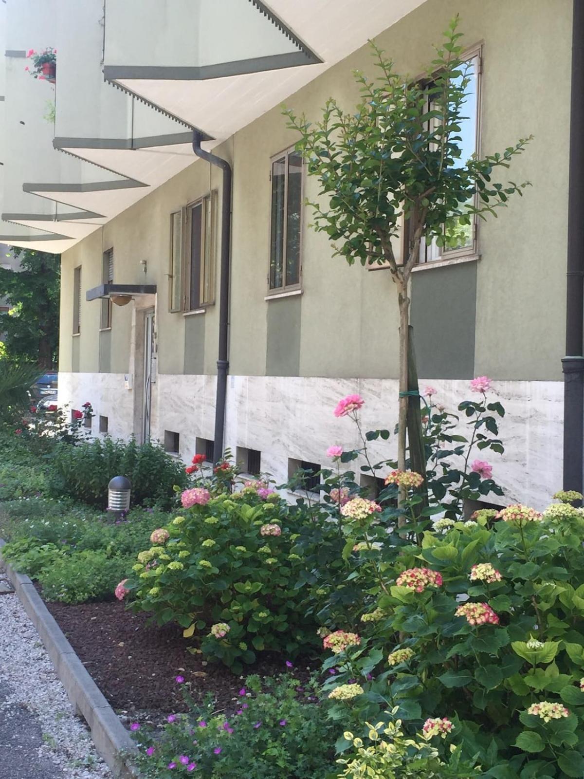 Apartment Zara Free Parking Venice