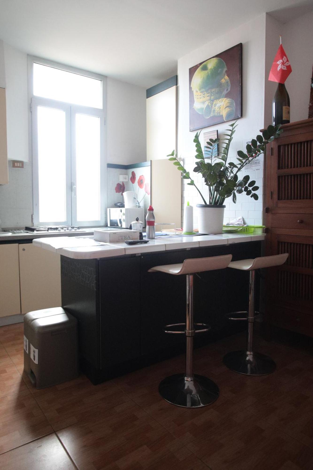 Apartment Cat Apartment- Mestre