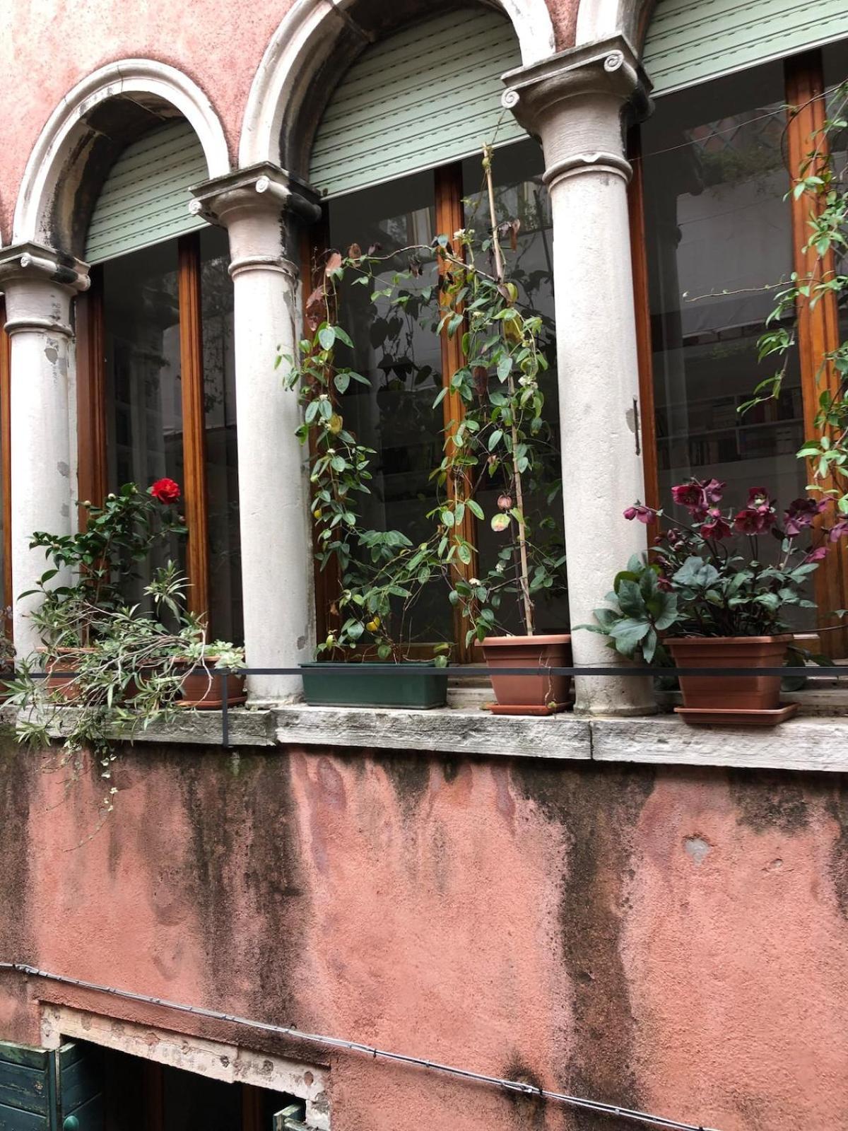 The Magic Of From A Cute Loft Apartment Venice