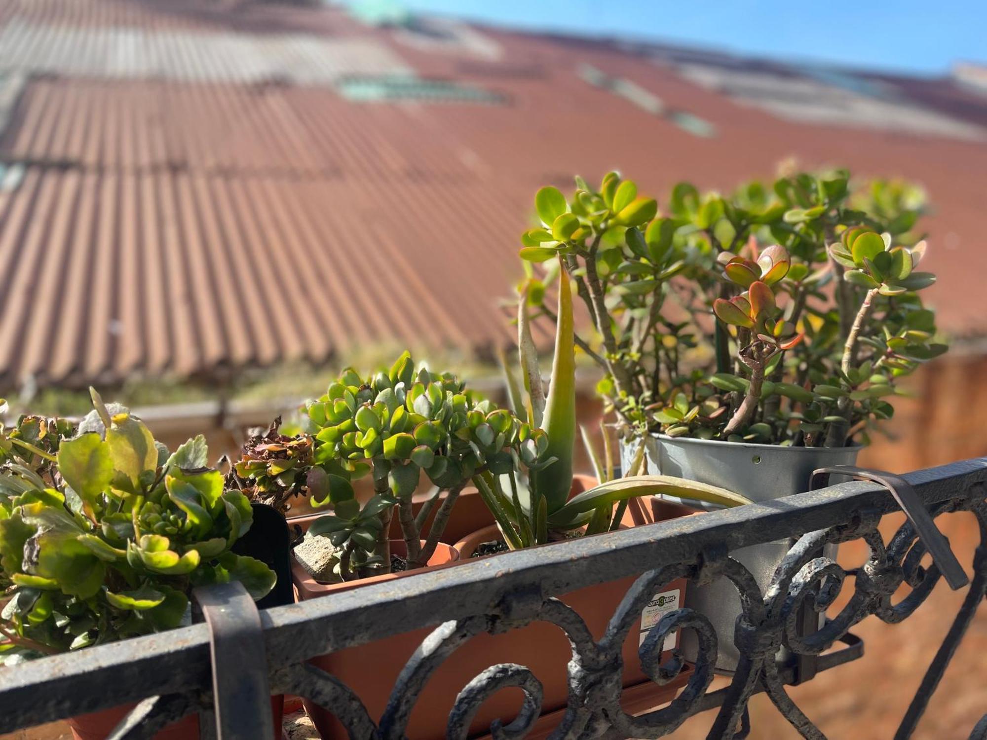 Santa Caterina Guest house