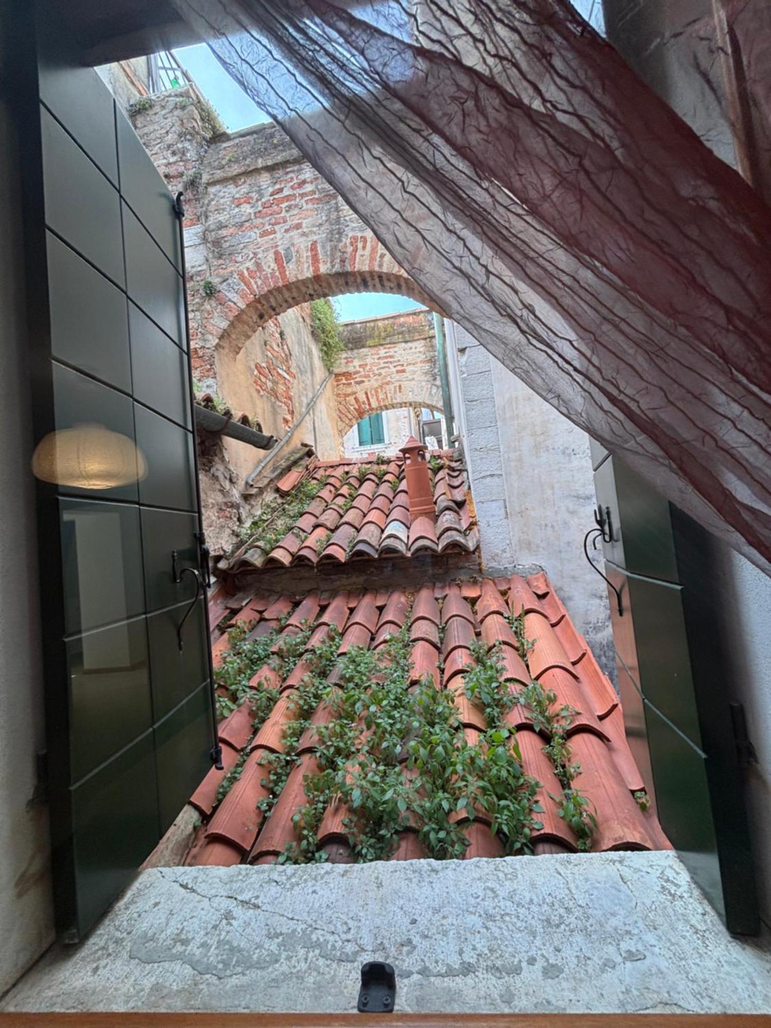 Ali * Venice