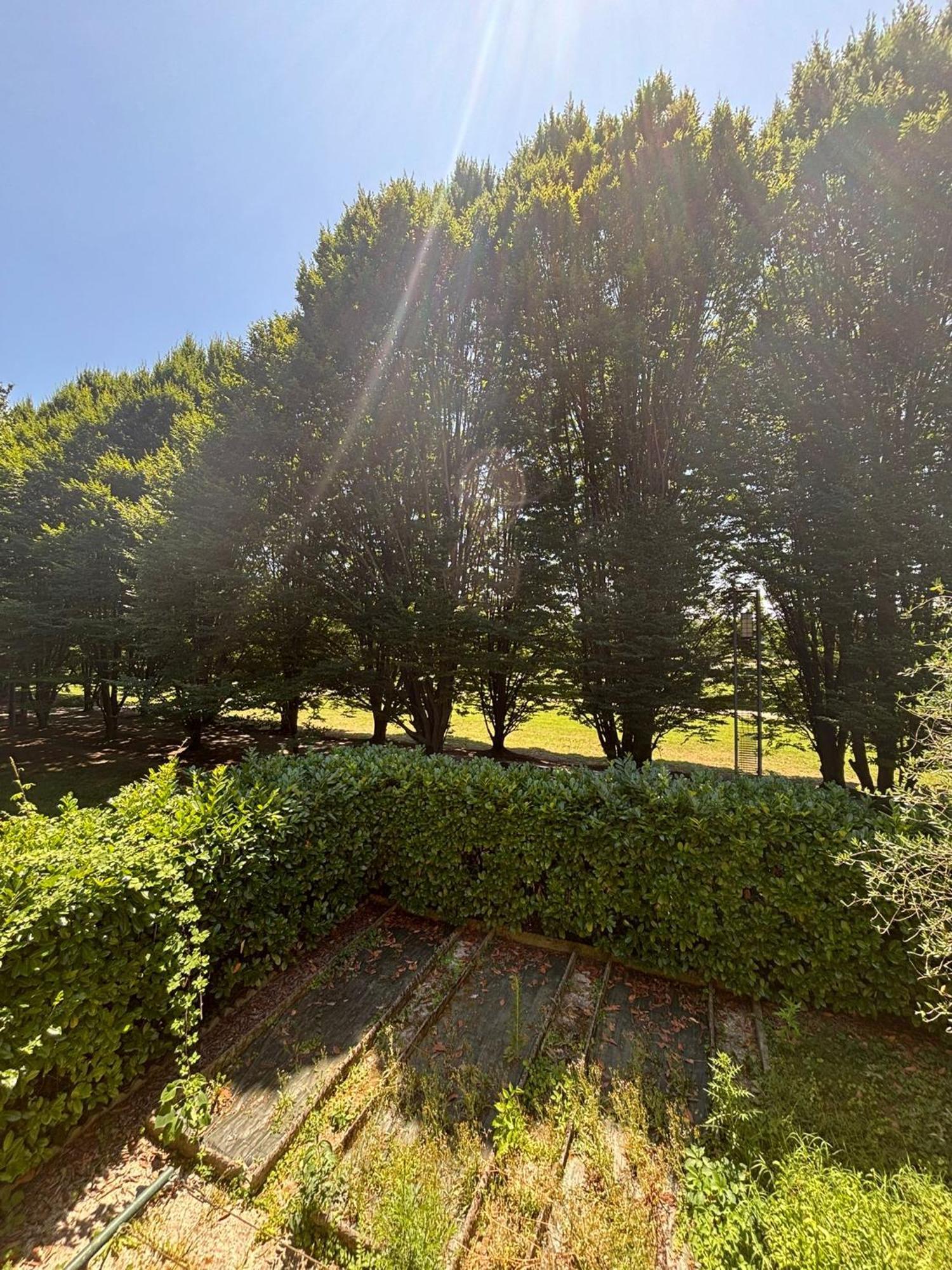 House In The Park! Free Parking And Convenient To *
